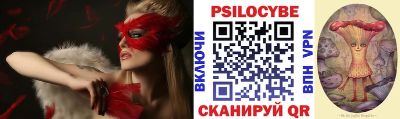 Псилоцибиновые грибы Psilocybe  мега зеркало  Горняк 